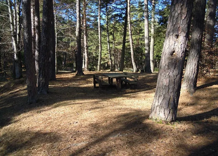 Selva Dei Pini * Lama Mocogno