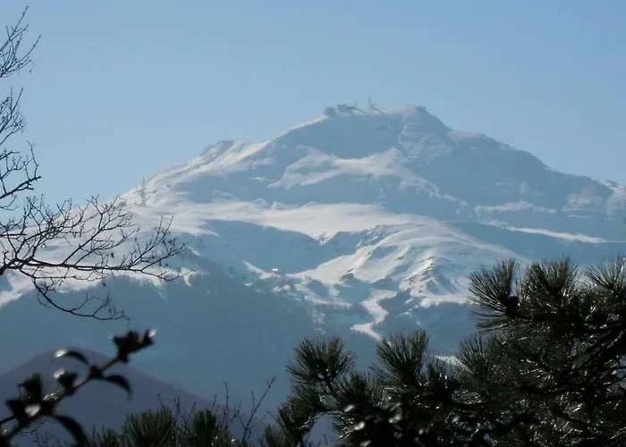 Selva Dei Pini Penzion