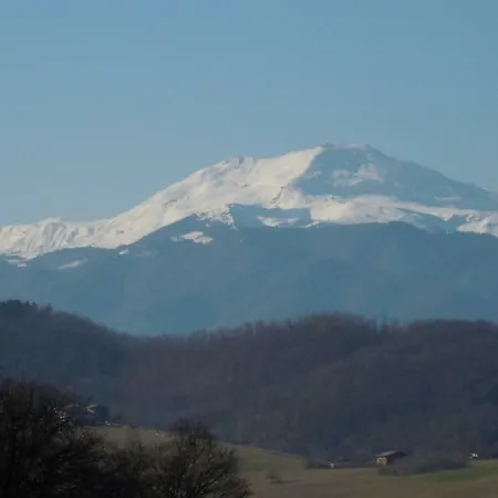 Selva Dei Pini