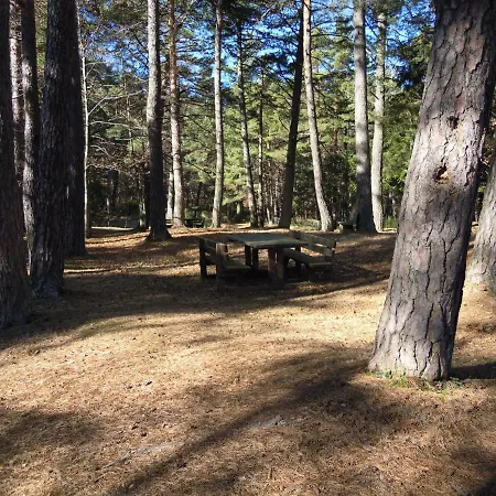 Selva Dei Pini * Lama Mocogno