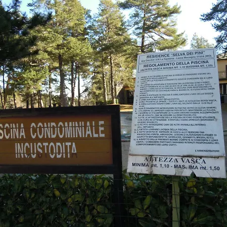 Selva Dei Pini Casa de hóspedes