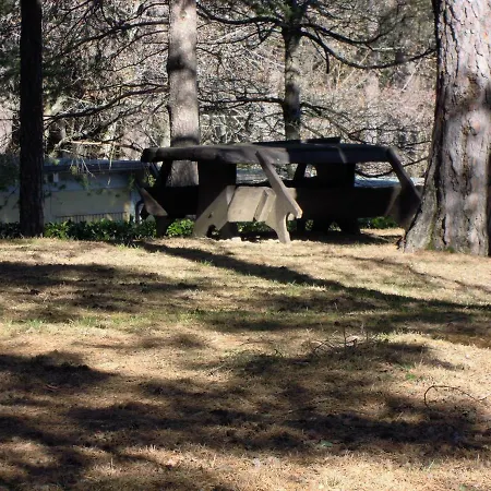 Selva Dei Pini Lama Mocogno