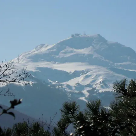 Selva Dei Pini Penzion