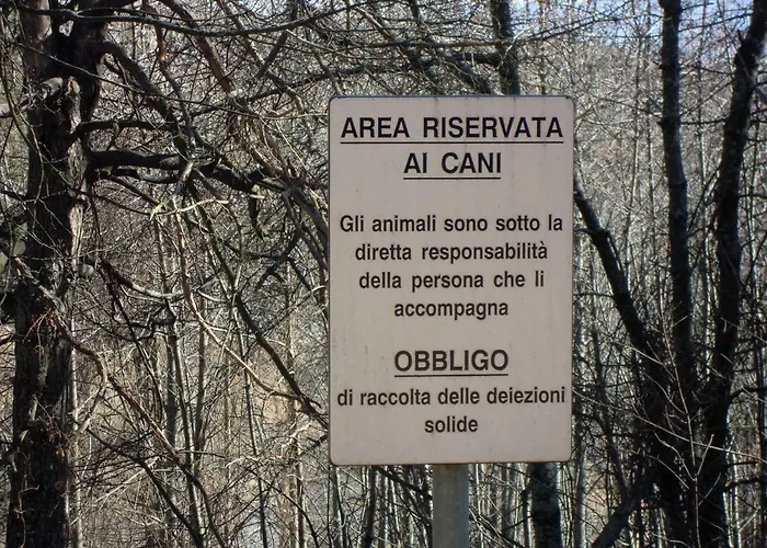 Selva Dei Pini *