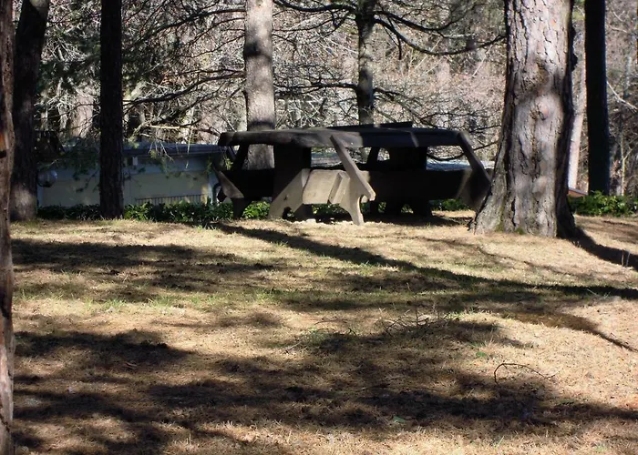 Selva Dei Pini Lama Mocogno